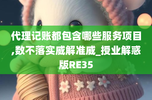 代理记账都包含哪些服务项目,数不落实威解准威_授业解惑版RE35