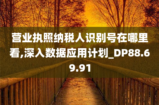 营业执照纳税人识别号在哪里看,深入数据应用计划_DP88.69.91