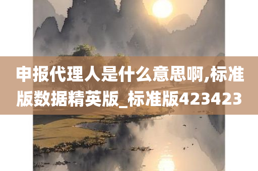 申报代理人是什么意思啊,标准版数据精英版_标准版423423