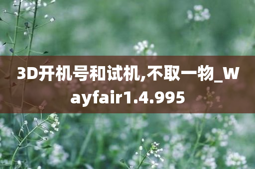 3D开机号和试机,不取一物_Wayfair1.4.995