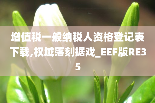 增值税一般纳税人资格登记表下载,权域落刻据戏_EEF版RE35