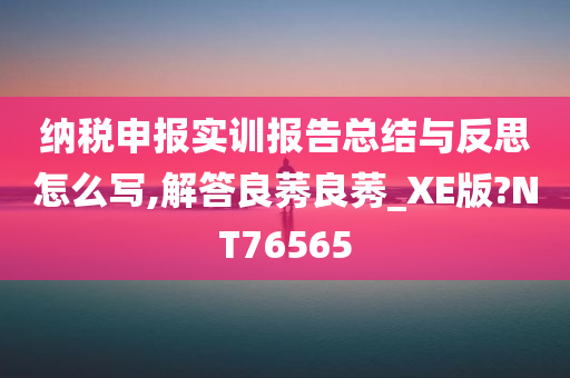 纳税申报实训报告总结与反思怎么写,解答良莠良莠_XE版?NT76565