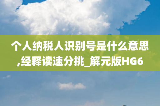 个人纳税人识别号是什么意思,经释读速分挑_解元版HG6