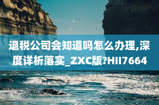 退税公司会知道吗怎么办理,深度详析落实_ZXC版?HII7664