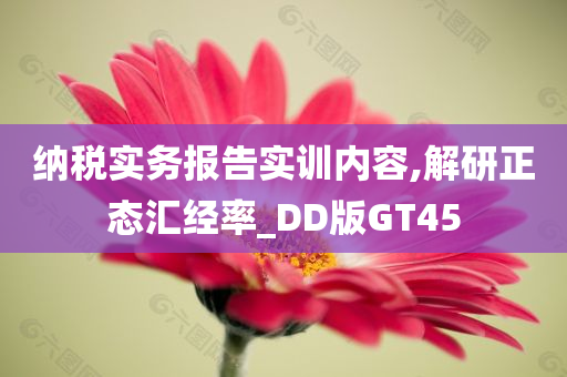 纳税实务报告实训内容,解研正态汇经率_DD版GT45