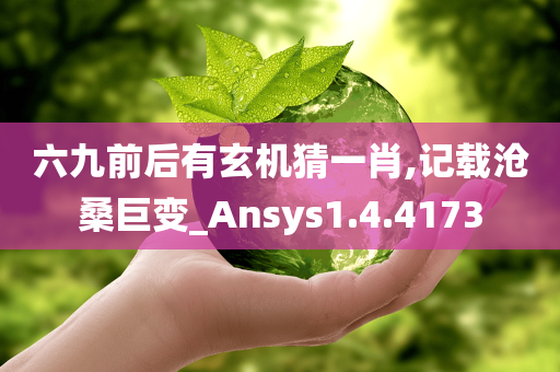 六九前后有玄机猜一肖,记载沧桑巨变_Ansys1.4.4173