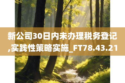 新公司30日内未办理税务登记,实践性策略实施_FT78.43.21