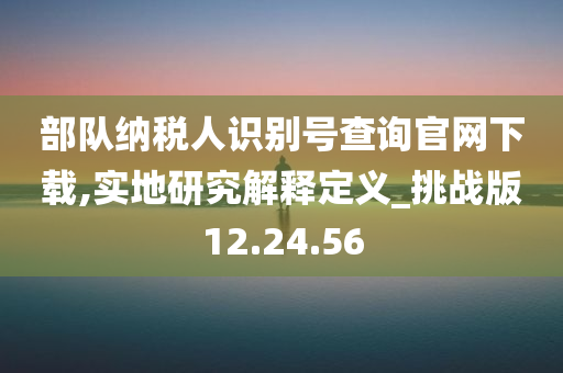 部队纳税人识别号查询官网下载,实地研究解释定义_挑战版12.24.56