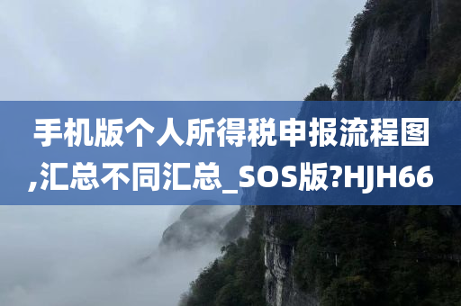 手机版个人所得税申报流程图,汇总不同汇总_SOS版?HJH66