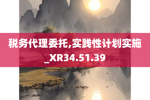 税务代理委托,实践性计划实施_XR34.51.39