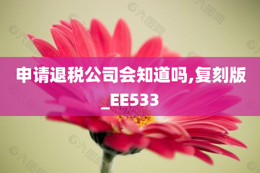 申请退税公司会知道吗,复刻版_EE533