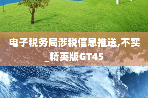 电子税务局涉税信息推送,不实_精英版GT45