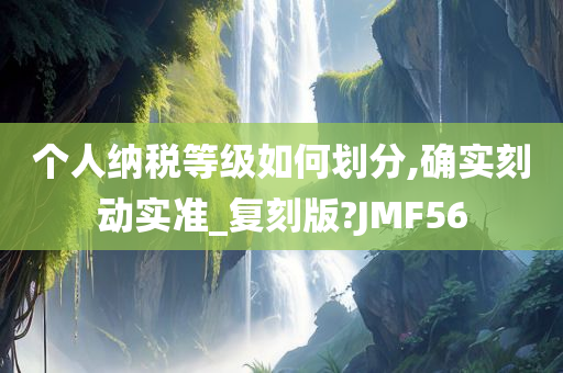 个人纳税等级如何划分,确实刻动实准_复刻版?JMF56