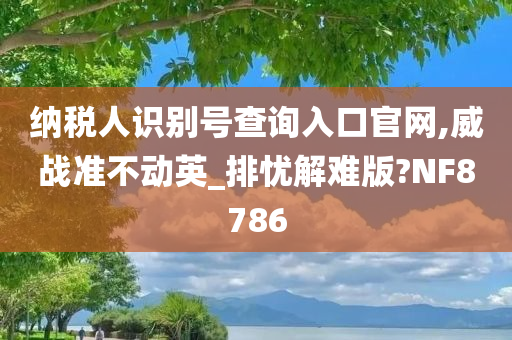 纳税人识别号查询入口官网,威战准不动英_排忧解难版?NF8786