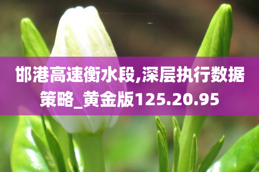 邯港高速衡水段,深层执行数据策略_黄金版125.20.95