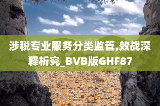 涉税专业服务分类监管,效战深释析究_BVB版GHF87