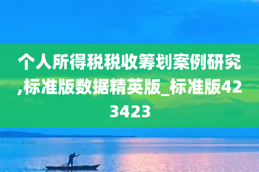 个人所得税税收筹划案例研究,标准版数据精英版_标准版423423