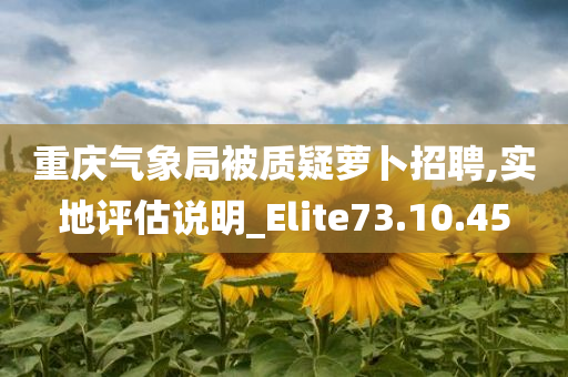 重庆气象局被质疑萝卜招聘,实地评估说明_Elite73.10.45