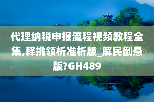 代理纳税申报流程视频教程全集,释挑领析准析版_解民倒悬版?GH489