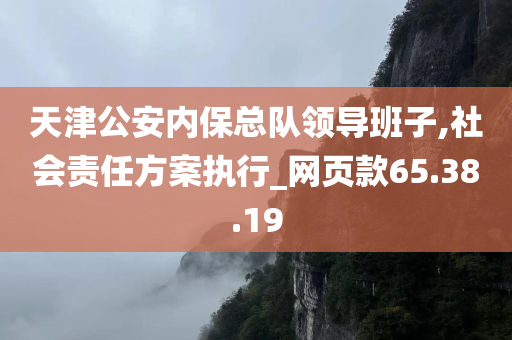 天津公安内保总队领导班子,社会责任方案执行_网页款65.38.19