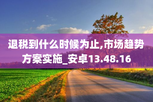 退税到什么时候为止,市场趋势方案实施_安卓13.48.16