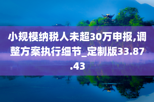 小规模纳税人未超30万申报,调整方案执行细节_定制版33.87.43