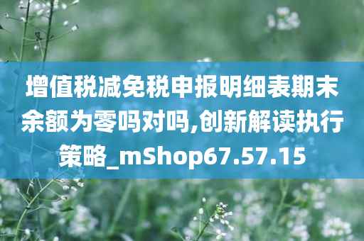 增值税减免税申报明细表期末余额为零吗对吗,创新解读执行策略_mShop67.57.15