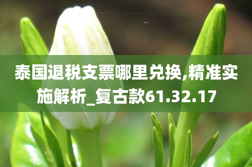 泰国退税支票哪里兑换,精准实施解析_复古款61.32.17