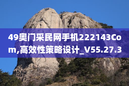 49奥门采民网手机222143Com,高效性策略设计_V55.27.30