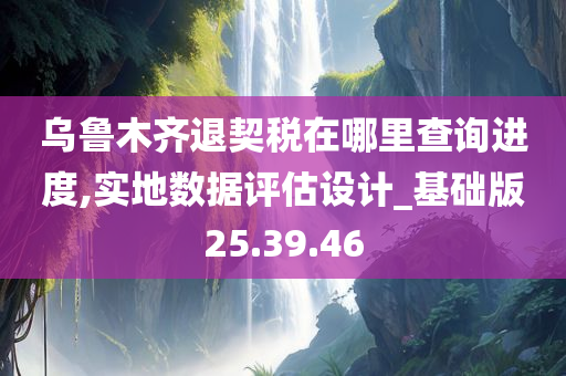 乌鲁木齐退契税在哪里查询进度,实地数据评估设计_基础版25.39.46