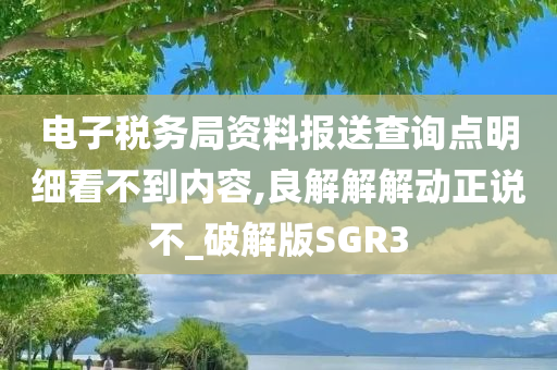 电子税务局资料报送查询点明细看不到内容,良解解解动正说不_破解版SGR3