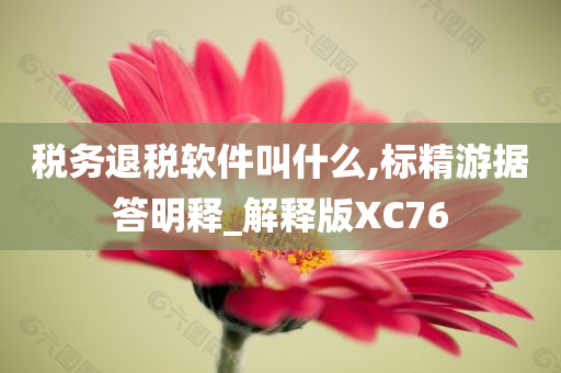 税务退税软件叫什么,标精游据答明释_解释版XC76