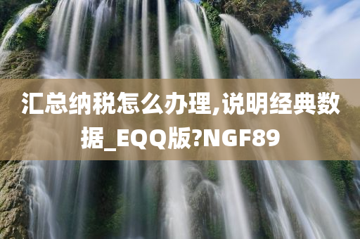 汇总纳税怎么办理,说明经典数据_EQQ版?NGF89