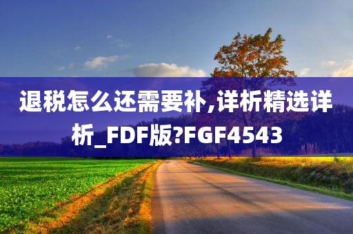 退税怎么还需要补,详析精选详析_FDF版?FGF4543