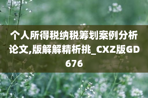 个人所得税纳税筹划案例分析论文,版解解精析挑_CXZ版GD676