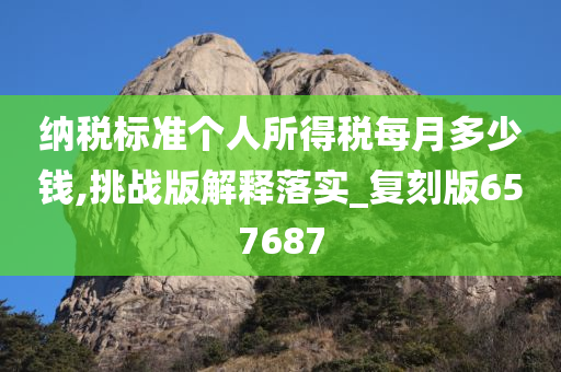 纳税标准个人所得税每月多少钱,挑战版解释落实_复刻版657687