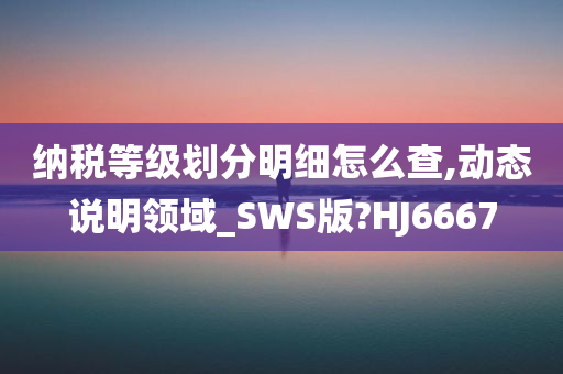 纳税等级划分明细怎么查,动态说明领域_SWS版?HJ6667