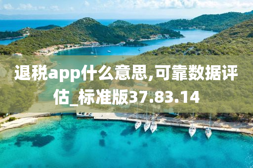 退税app什么意思,可靠数据评估_标准版37.83.14