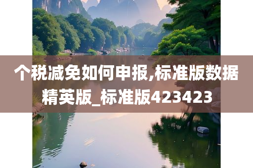 个税减免如何申报,标准版数据精英版_标准版423423