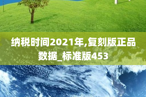 纳税时间2021年,复刻版正品数据_标准版453