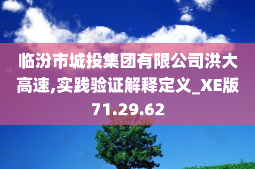 临汾市城投集团有限公司洪大高速,实践验证解释定义_XE版71.29.62