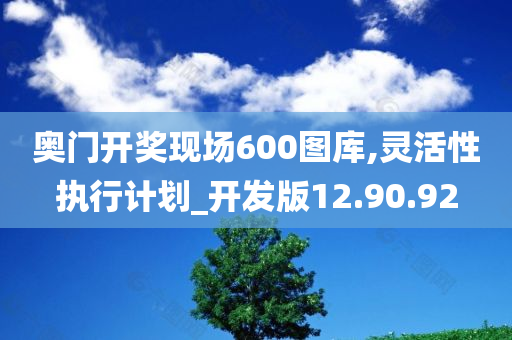 奥门开奖现场600图库,灵活性执行计划_开发版12.90.92