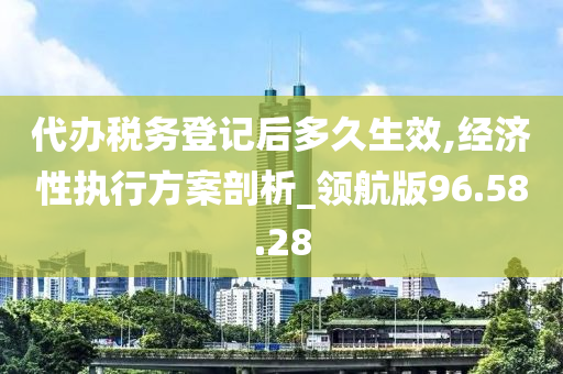 代办税务登记后多久生效,经济性执行方案剖析_领航版96.58.28