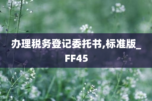 办理税务登记委托书,标准版_FF45