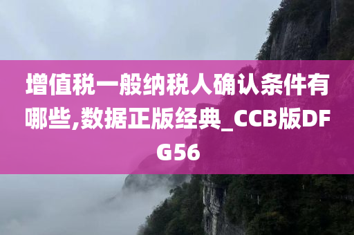 增值税一般纳税人确认条件有哪些,数据正版经典_CCB版DFG56