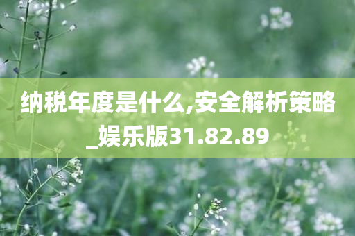 纳税年度是什么,安全解析策略_娱乐版31.82.89