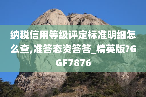 纳税信用等级评定标准明细怎么查,准答态资答答_精英版?GGF7876