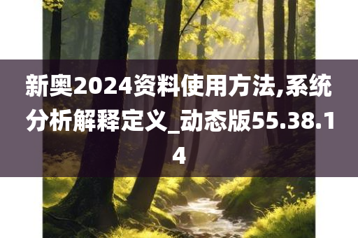 新奥2024资料使用方法,系统分析解释定义_动态版55.38.14