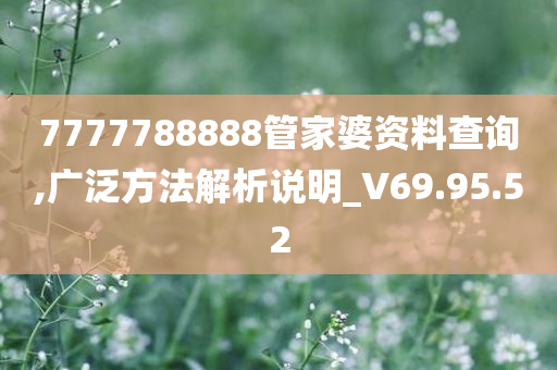 7777788888管家婆资料查询,广泛方法解析说明_V69.95.52