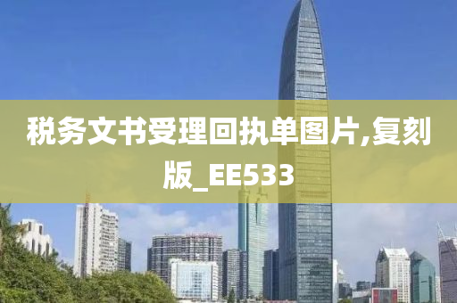 税务文书受理回执单图片,复刻版_EE533